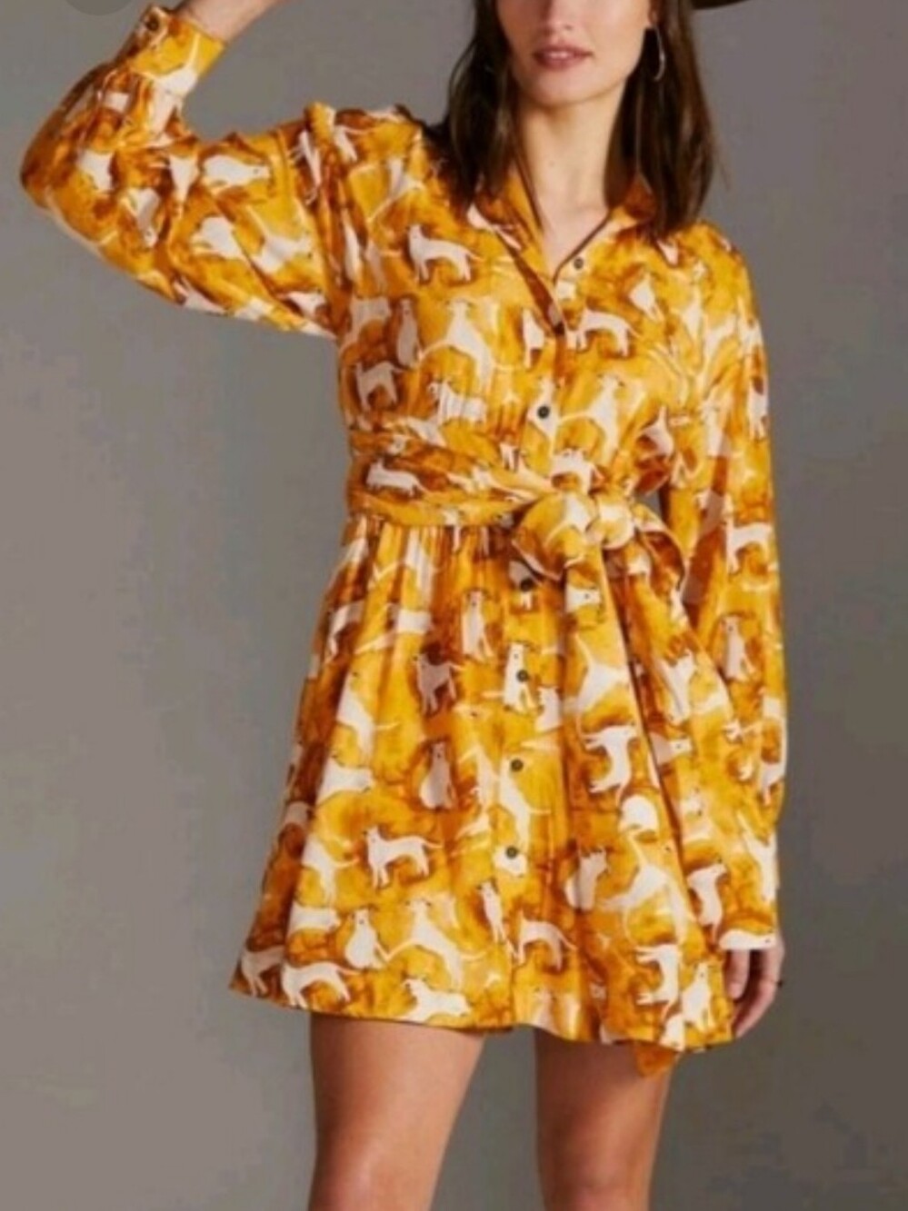 Anthropologie Maeve Cute White Dog Print Mini Shirtdress In Gold Size xxsmall 00